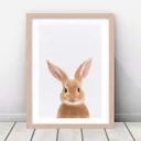 Rabbit Wall Art Print — photo 1