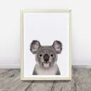 Koala Wall Art Print — photo 1