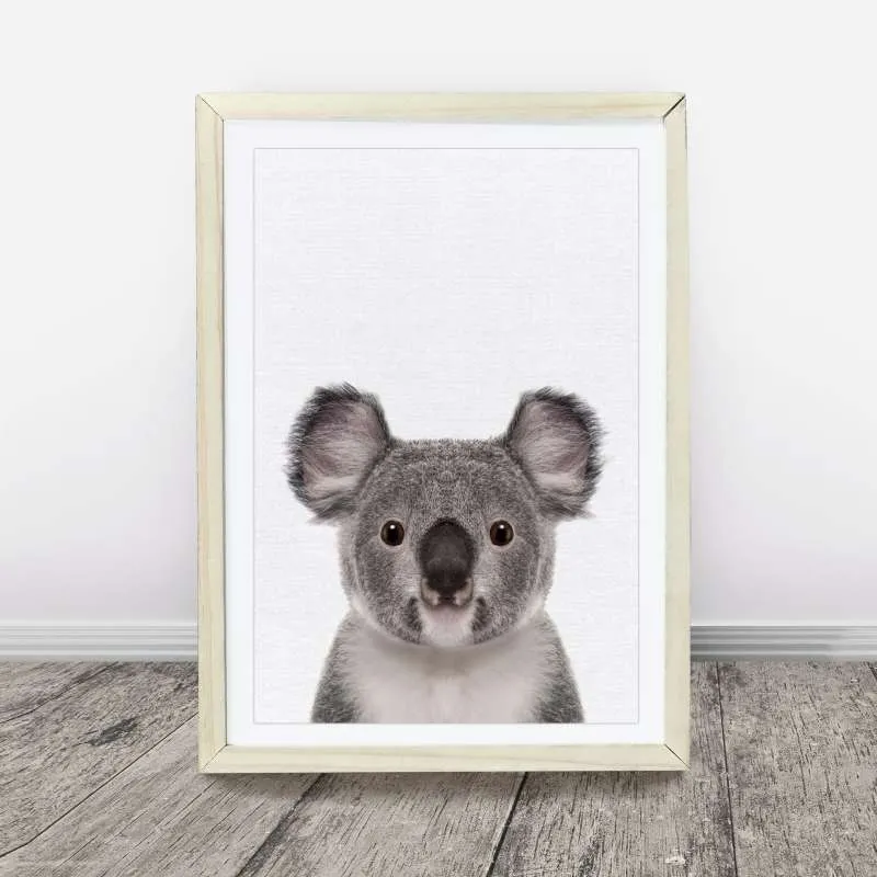 Koala Wall Art Print