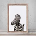 Safari Zebra Wall Art Print — photo 1