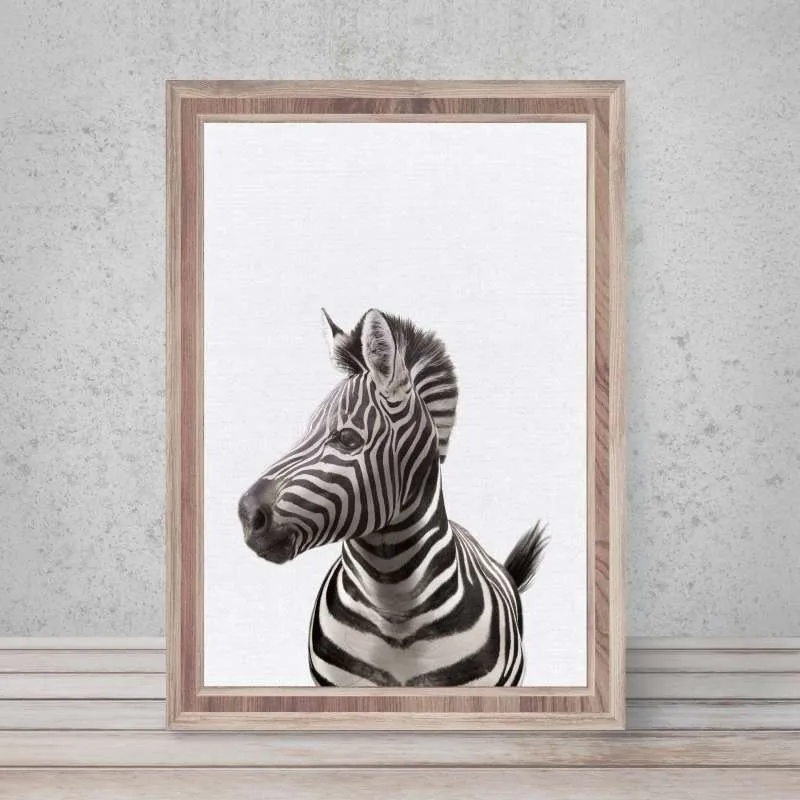 Safari Zebra Wall Art Print