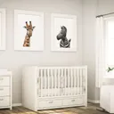 Safari Zebra Wall Art Print — photo 4