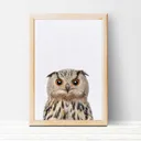Woodland Owl Wall Art Print — photo 1