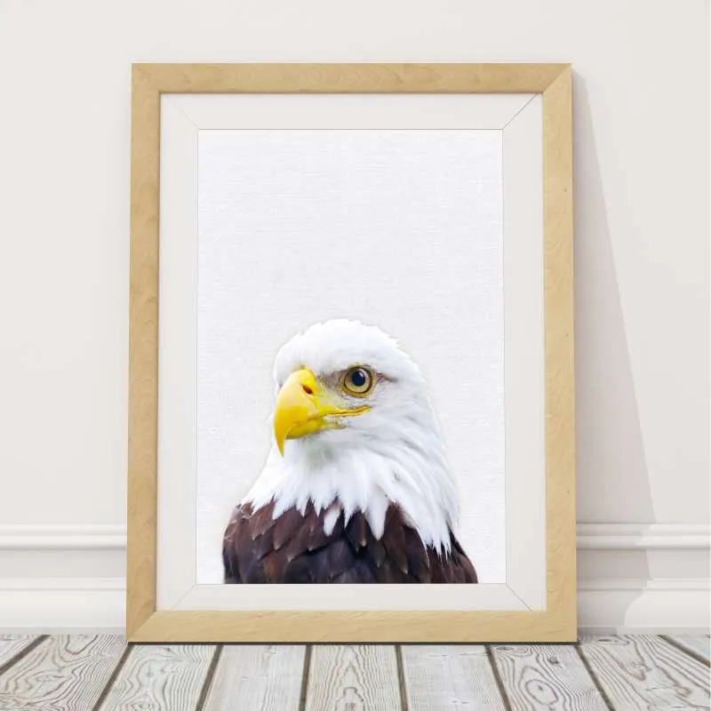 Bald Eagle Wall Art Print
