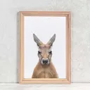 Kangaroo Wall Art Print — photo 1