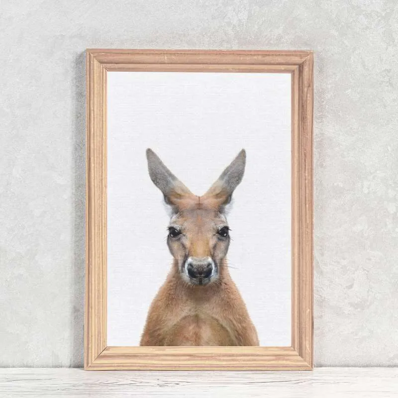 Kangaroo Wall Art Print