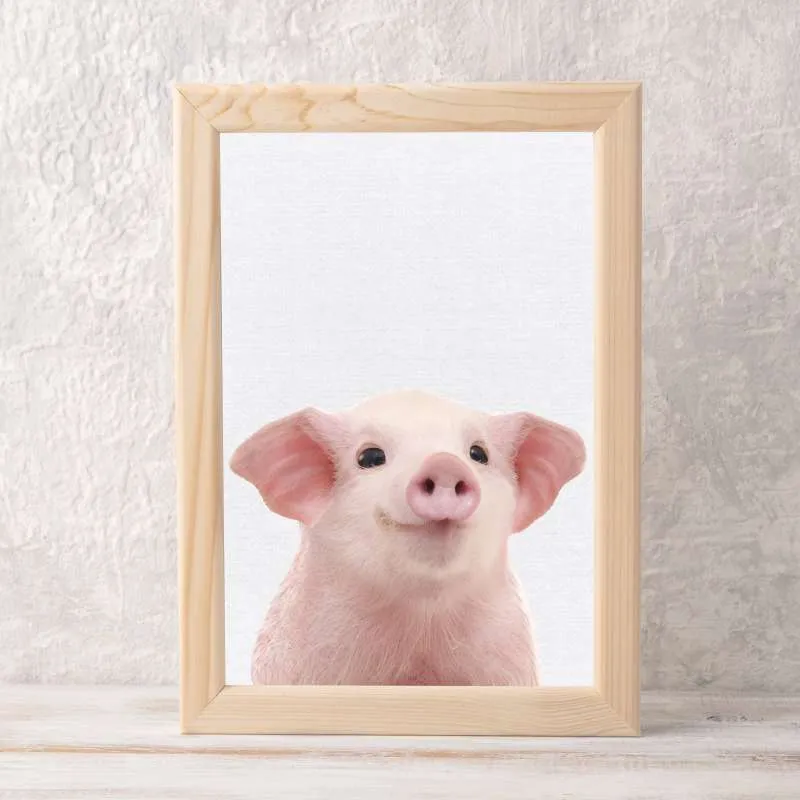Pig Wall Art Print