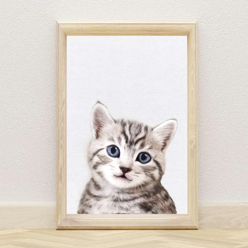 Cat Wall Art Print