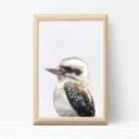 Kookaburra Wall Art Print — photo 1