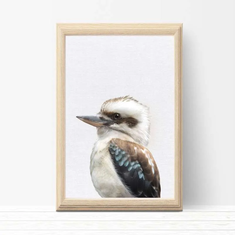 Kookaburra Wall Art Print