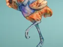 Emu Wall Stickers / Mural — photo 3