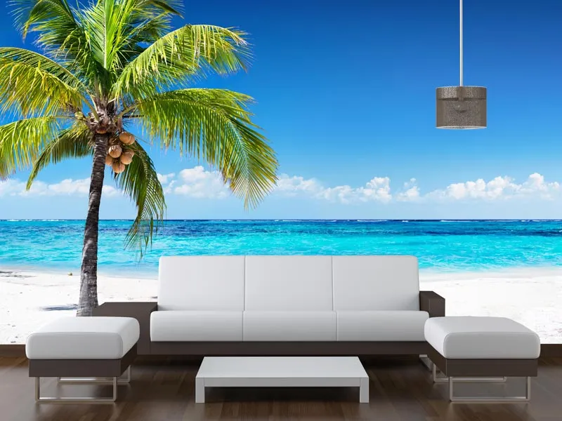 Beach With Palm Tree Wallpaper / Murals